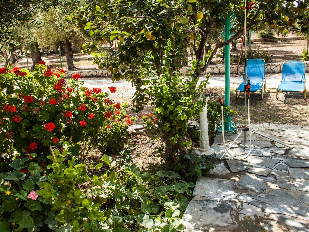 Areti Orfeas Studios Ανω Βασιλικος Εξωτερικό φωτογραφία